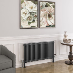 Imperia 2 Column Radiator 600 x 1145mm - Matt Anthracite